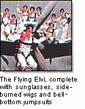 Flying Elvi